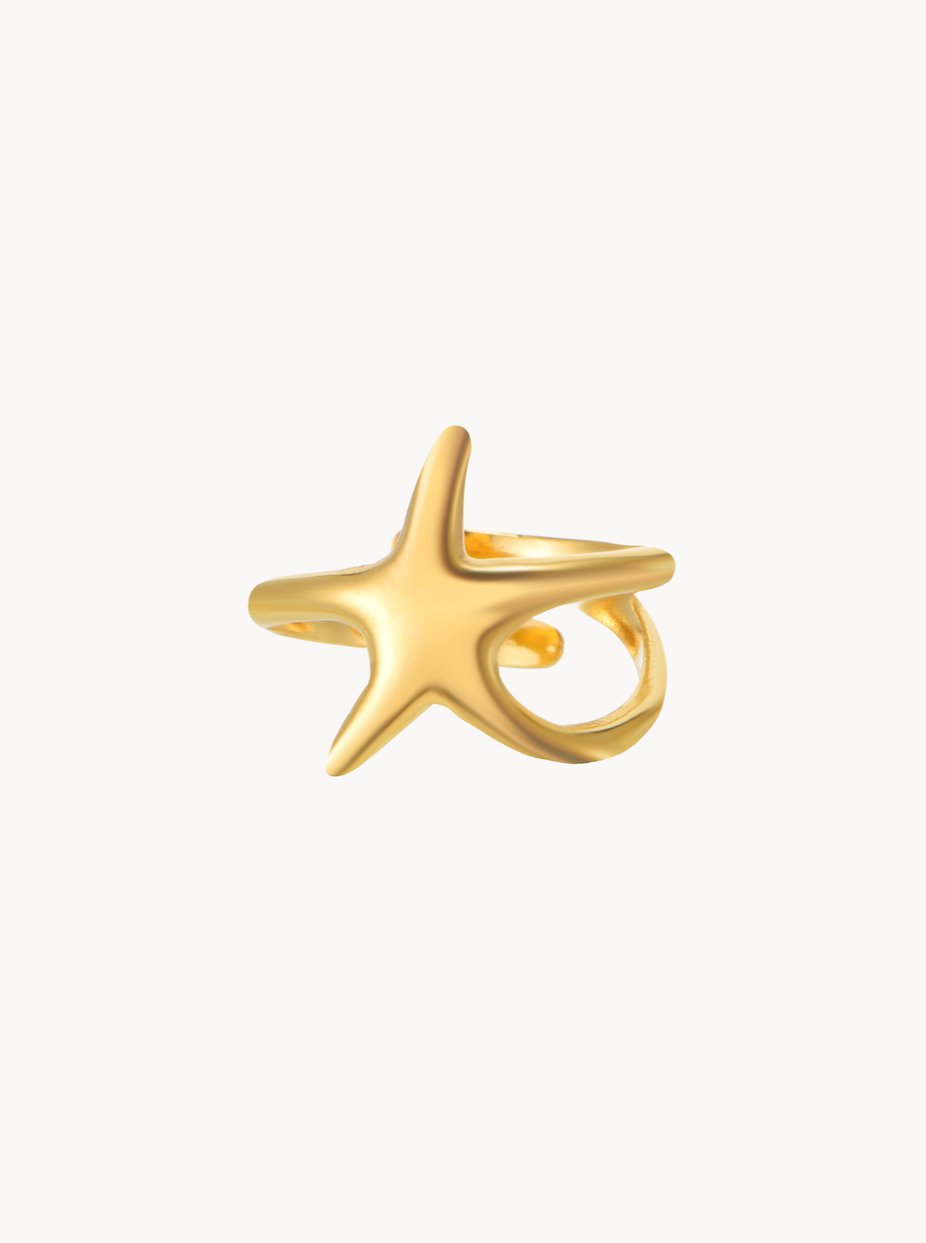 Anillo de estrella de oro Kaylee