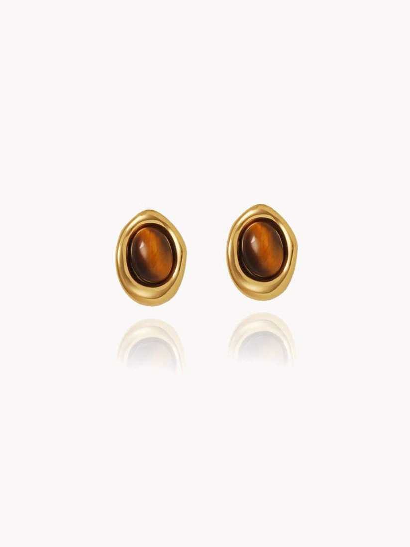 Tiger's Eye Stone Coffee Bean Earrings